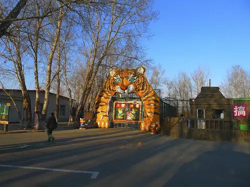 Tiger Safari entrance