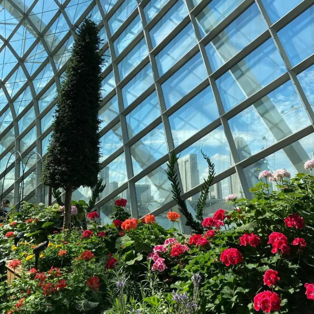 Flower Dome