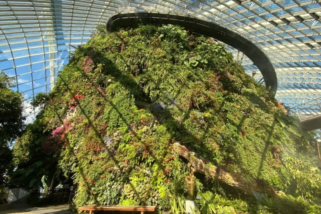 Cloud forest gardens by the bay